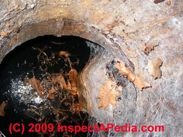 septic maintenance texas cities 
      zip batch